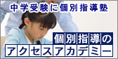 �ʎw���̃A�N�Z�X�A�J�f�~�[