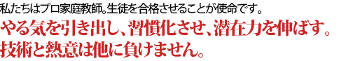 私たちはプロ家庭教師。生徒を合格させることが使命です。