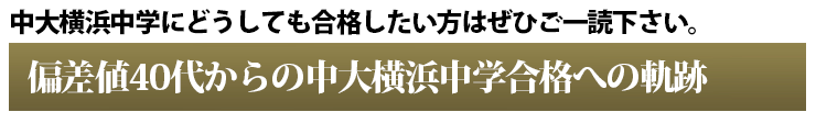 ChudaiYokohamaTopBanner