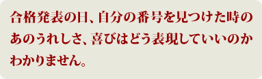 大手塾には通いませんでしたが、結果的には一対一の家庭教師にして正解だったと思います。